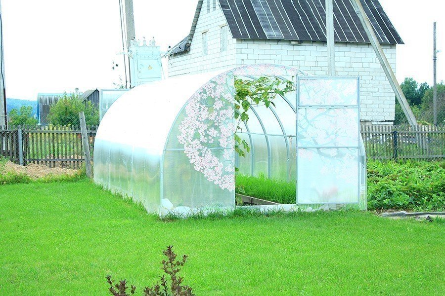 Теплица из поликарбоната Сибирская Премиум - 6 м (труба 40х20, шаг 0,67 метра) Теплица из поликарбоната Сибирская Премиум - 6 м (труба 40х20, шаг 0,67 метра)