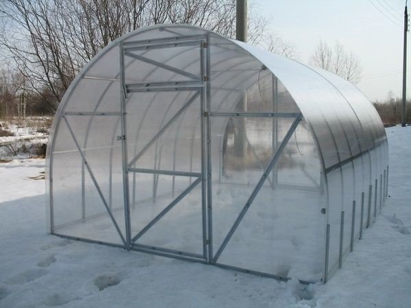 Усиленная оцинкованная теплица из поликарбоната "Триумф" - 10 м (труба 40х20, шаг 1 метр) фото-3 Усиленная оцинкованная теплица из поликарбоната "Триумф" - 10 м (труба 40х20, шаг 1 метр) фото-3