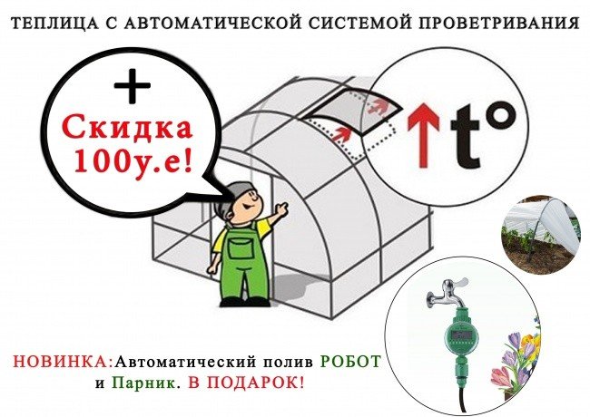 Усиленная оцинкованная теплица из поликарбоната "Триумф" - 10 м (труба 40х20, шаг 1 метр) фото-5 Усиленная оцинкованная теплица из поликарбоната "Триумф" - 10 м (труба 40х20, шаг 1 метр) фото-5